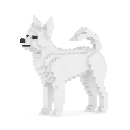 Chihuahua 01-M03