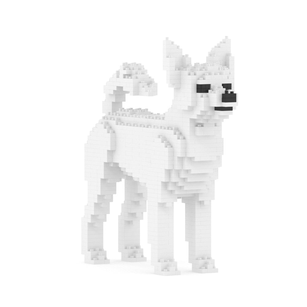 Chihuahua 01-M03