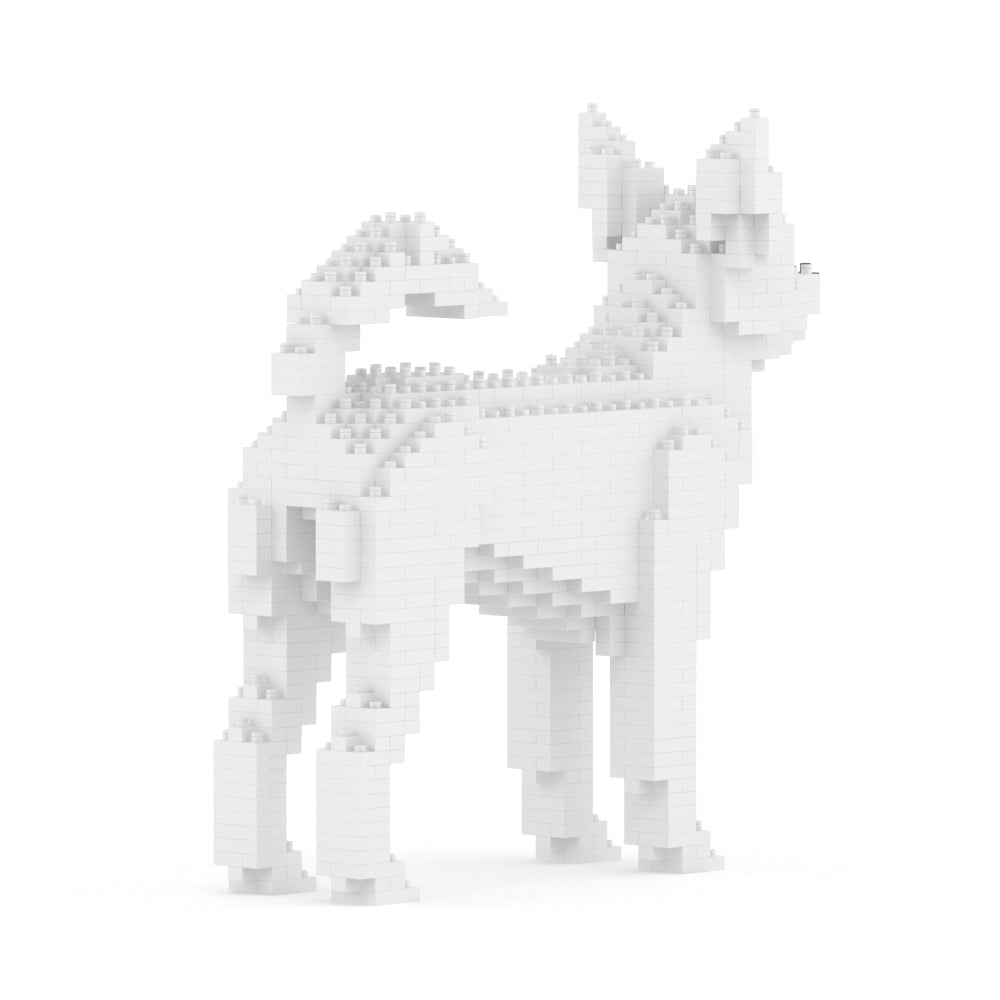 Chihuahua 01-M03