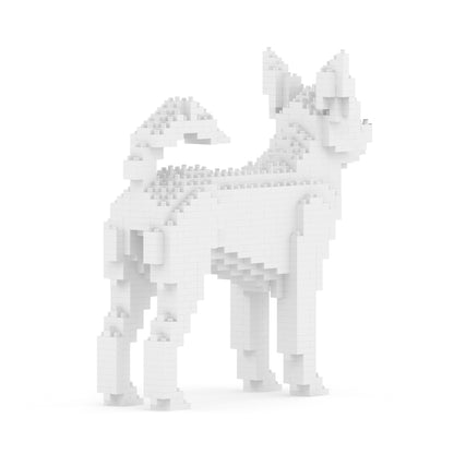 Chihuahua 01-M03