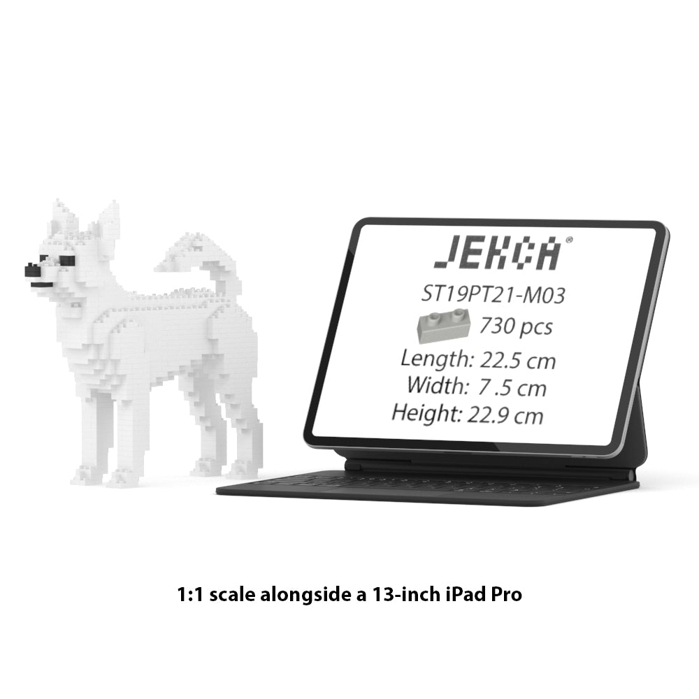 Chihuahua 01-M03