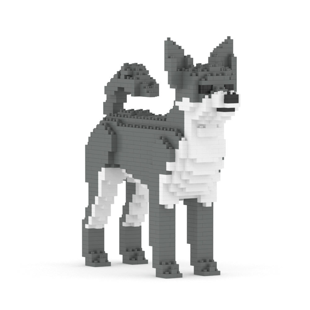 Chihuahua 01-M04