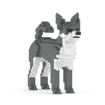 Chihuahua 01-M04