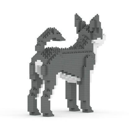 Chihuahua 01-M04