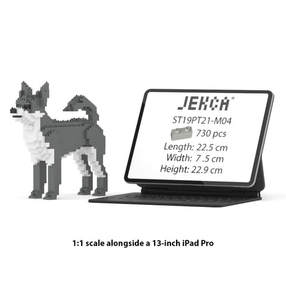 Chihuahua 01-M04