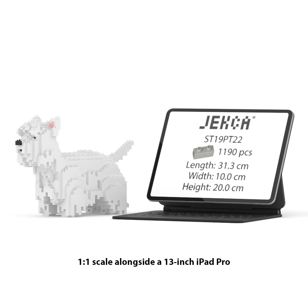 West Highland White Terrier 01