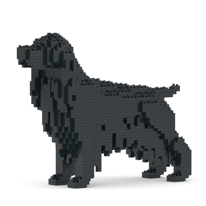 English Cocker Spaniel 01-M02