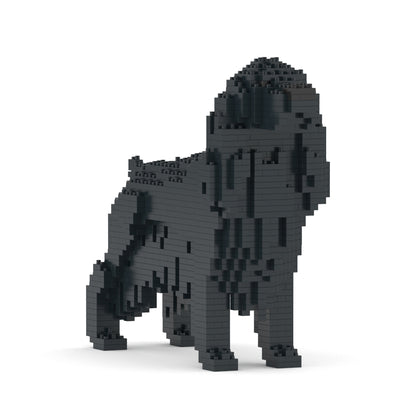 English Cocker Spaniel 01-M02