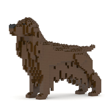 English Cocker Spaniel 01-M04