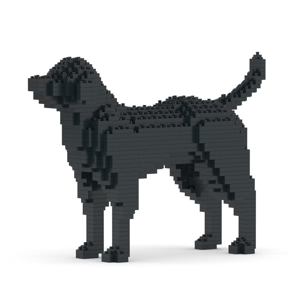 Labrador Retriever 01-M03