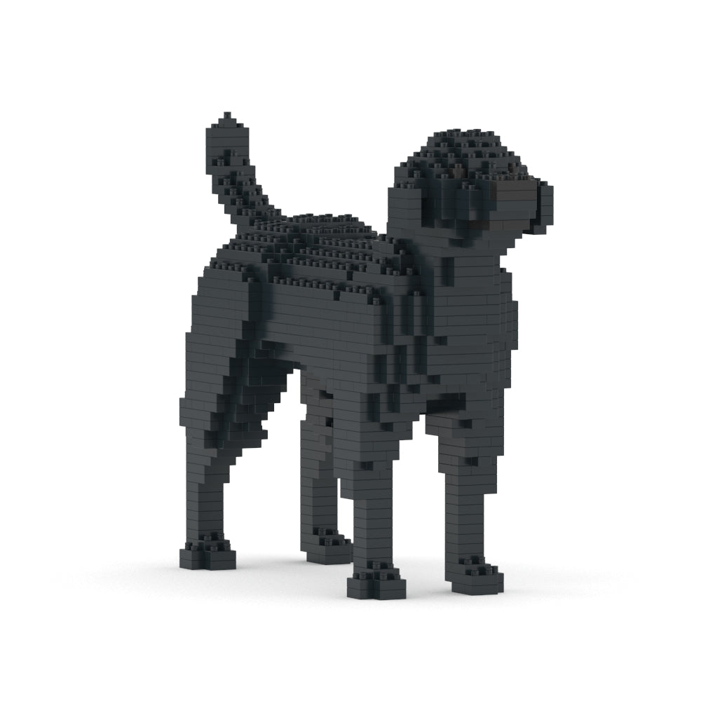 Labrador Retriever 01-M03