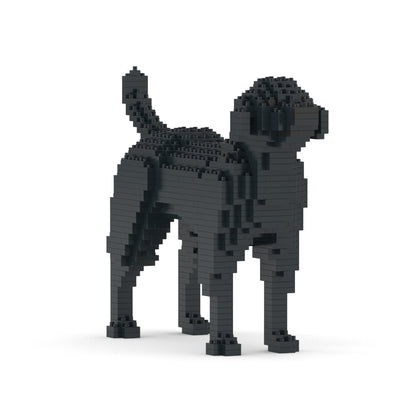 Labrador Retriever 01-M03