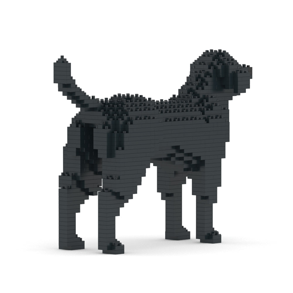 Labrador Retriever 01-M03
