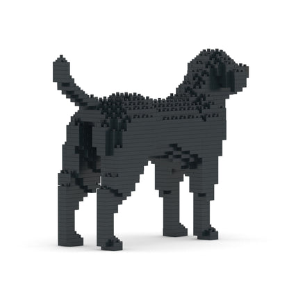 Labrador Retriever 01-M03