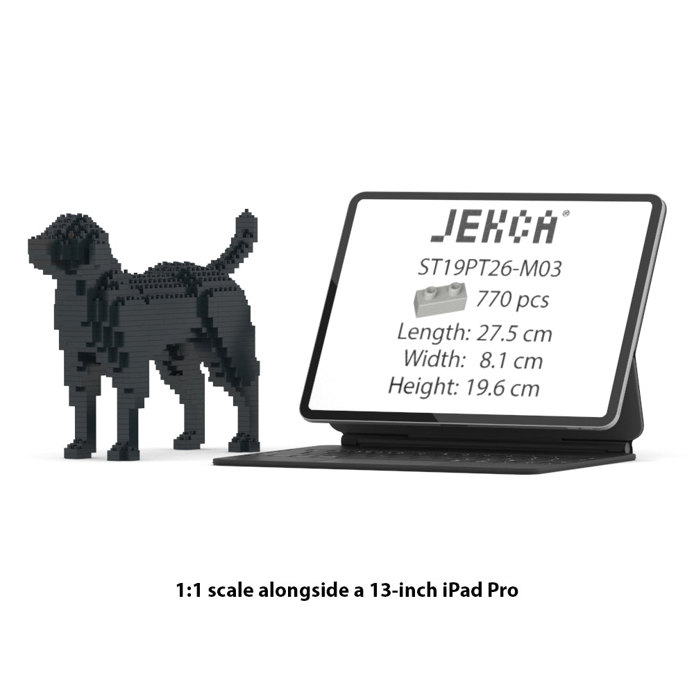 Labrador Retriever 01-M03