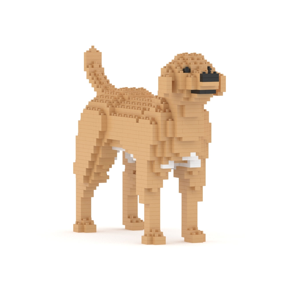 Labrador Retriever 01-M04