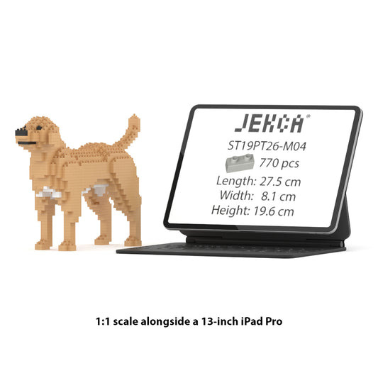 Labrador Retriever 01-M04