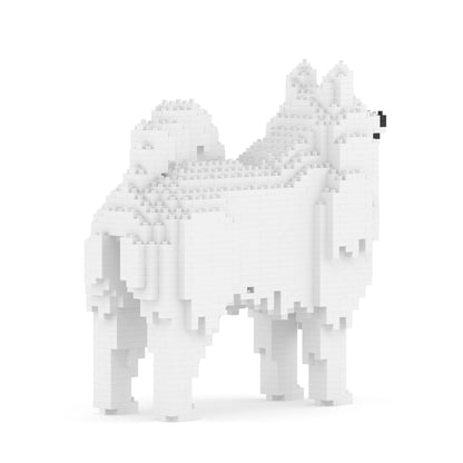 Samoyed 01