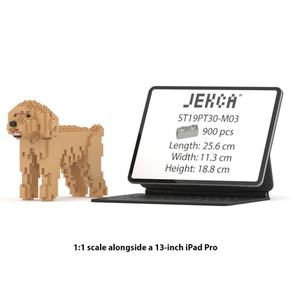 Toy Poodle 01-M03