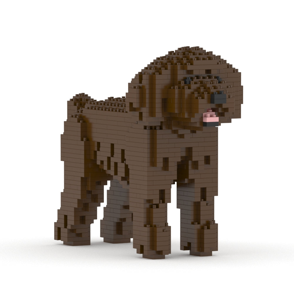 Toy Poodle 01-M05