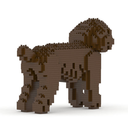 Toy Poodle 01-M05