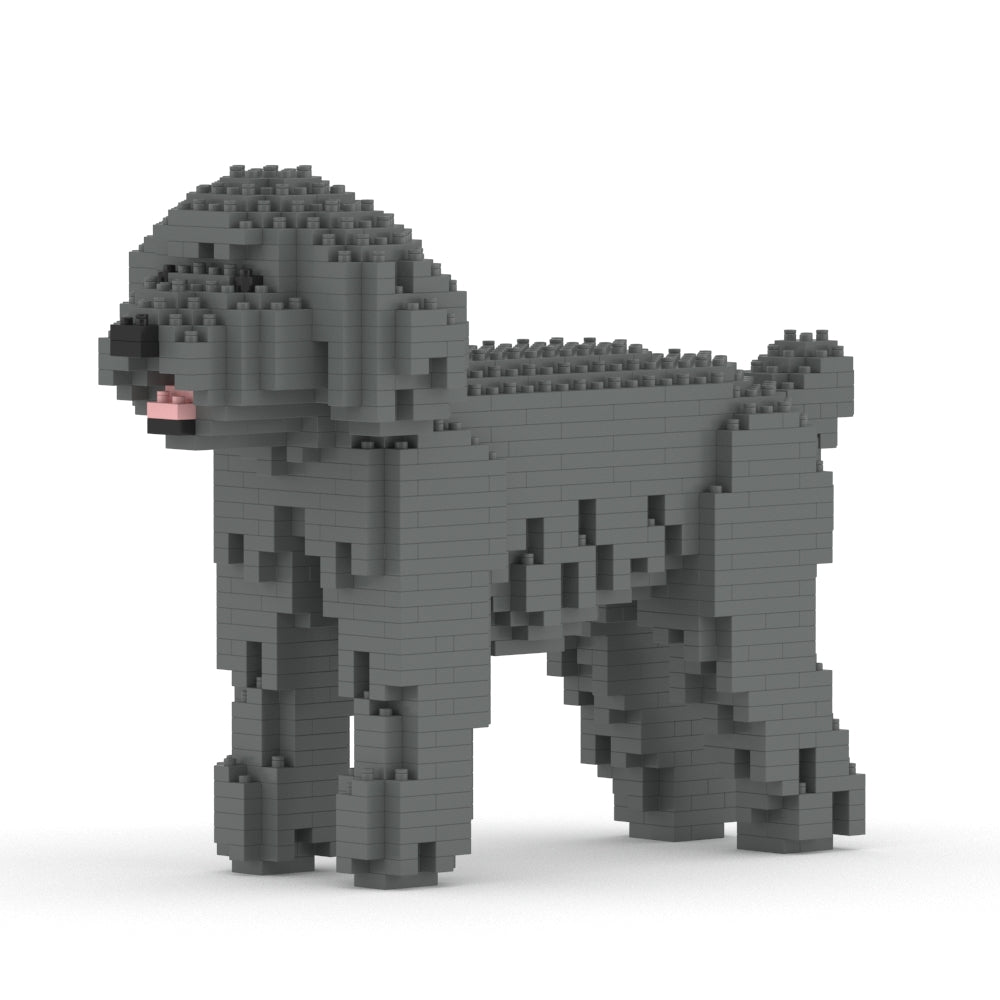 Toy Poodle 01-M06