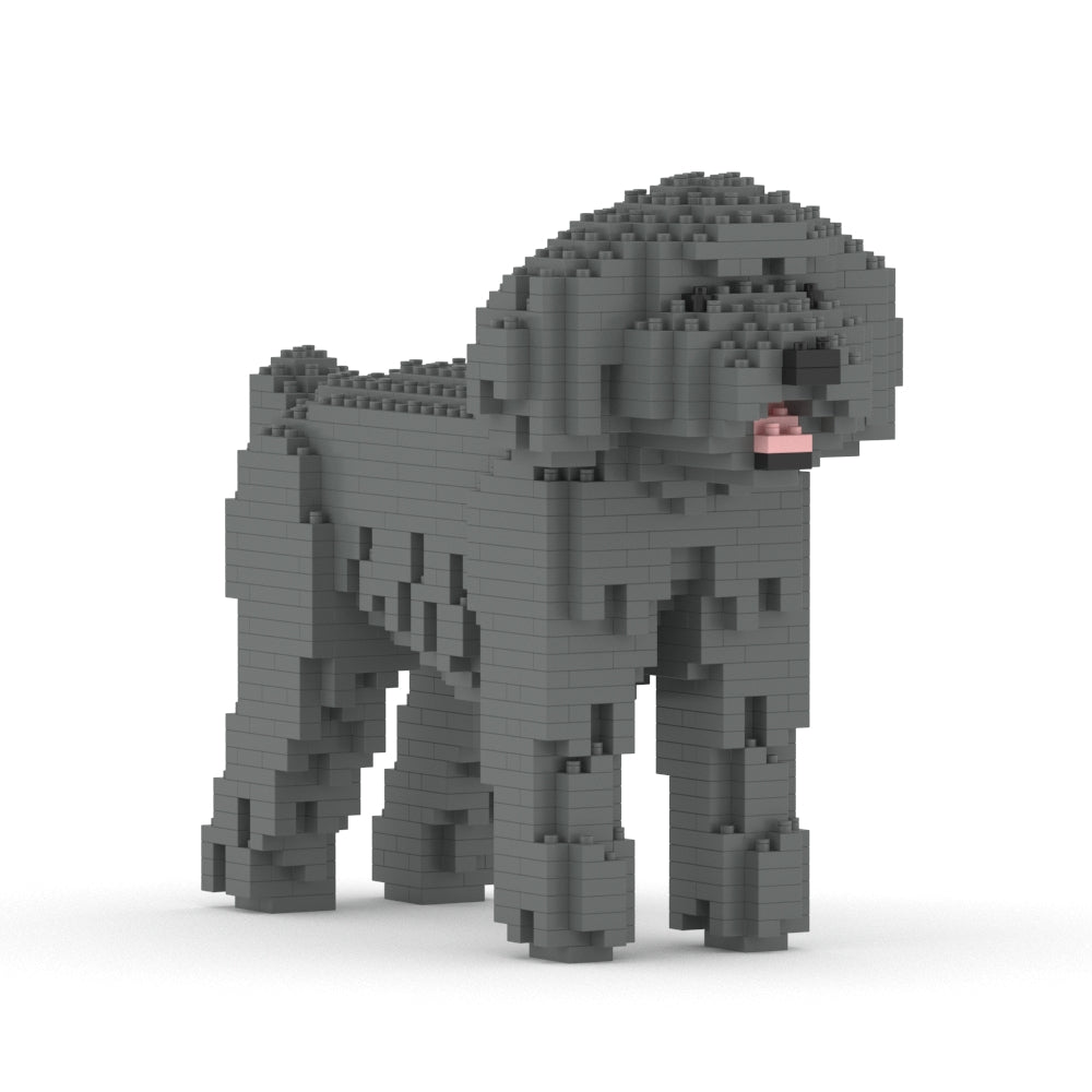Toy Poodle 01-M06