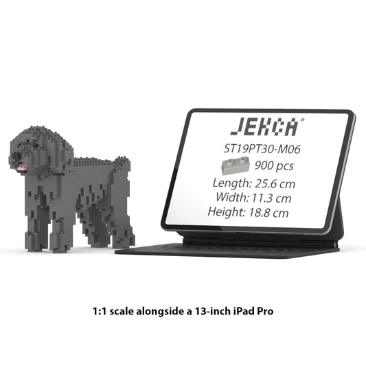 Toy Poodle 01-M06