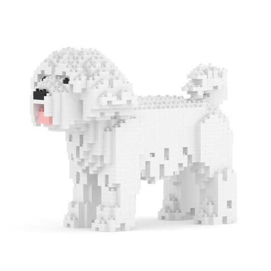 Maltese 01