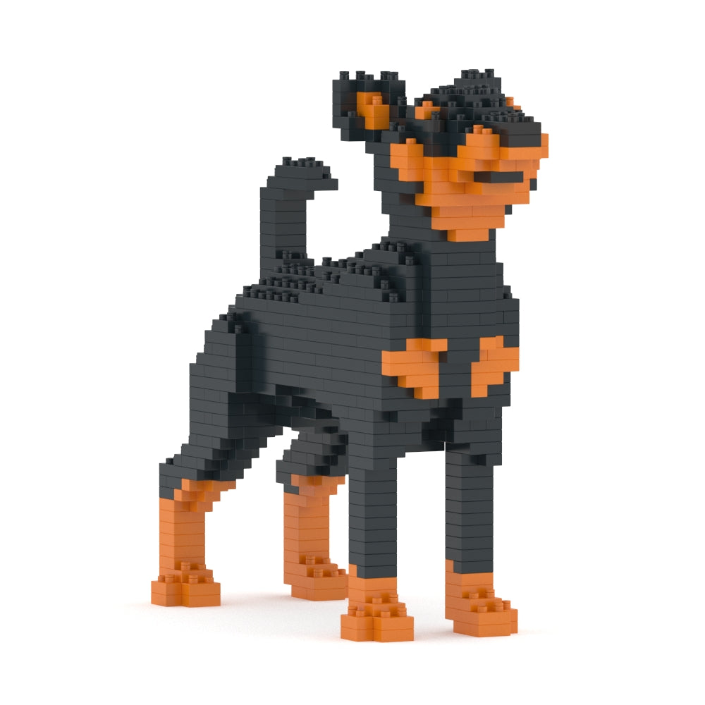 Miniature Pinscher 01-M01