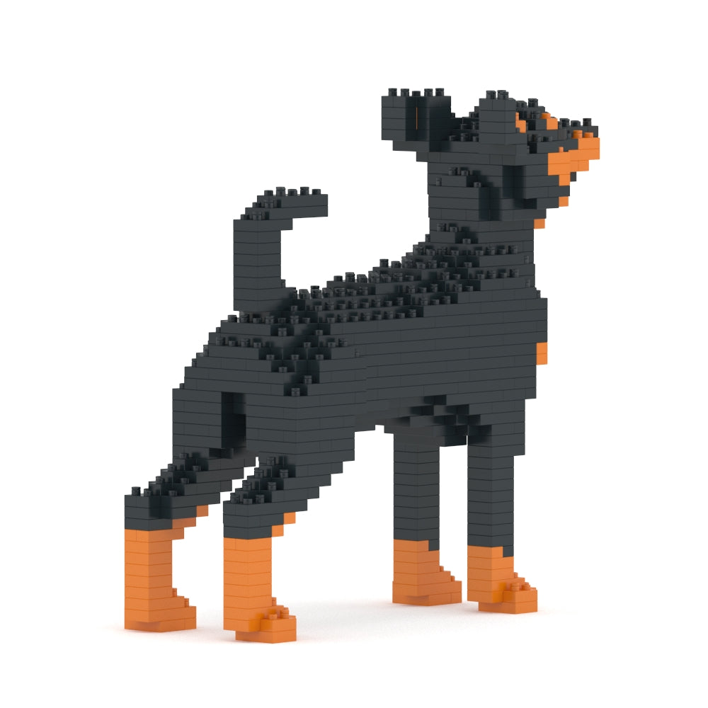 Miniature Pinscher 01-M01