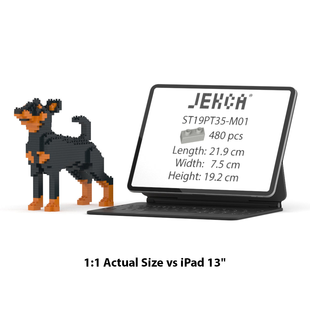 Miniature Pinscher 01-M01