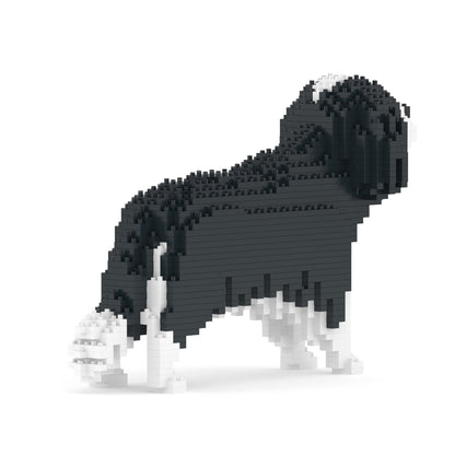 Cavalier King Charles Spaniel 01-M03