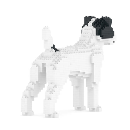 Jack Russell Terrier 01-M02