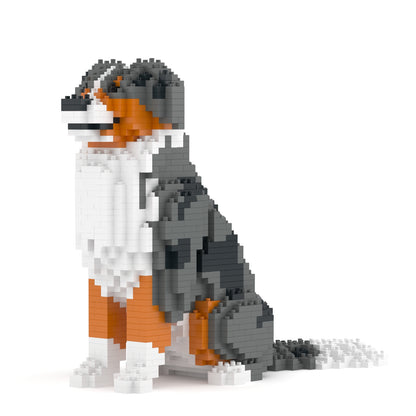 Australian Shepherd 01-M01