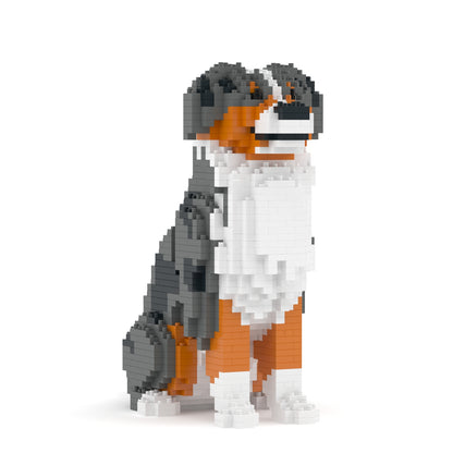 Australian Shepherd 01-M01