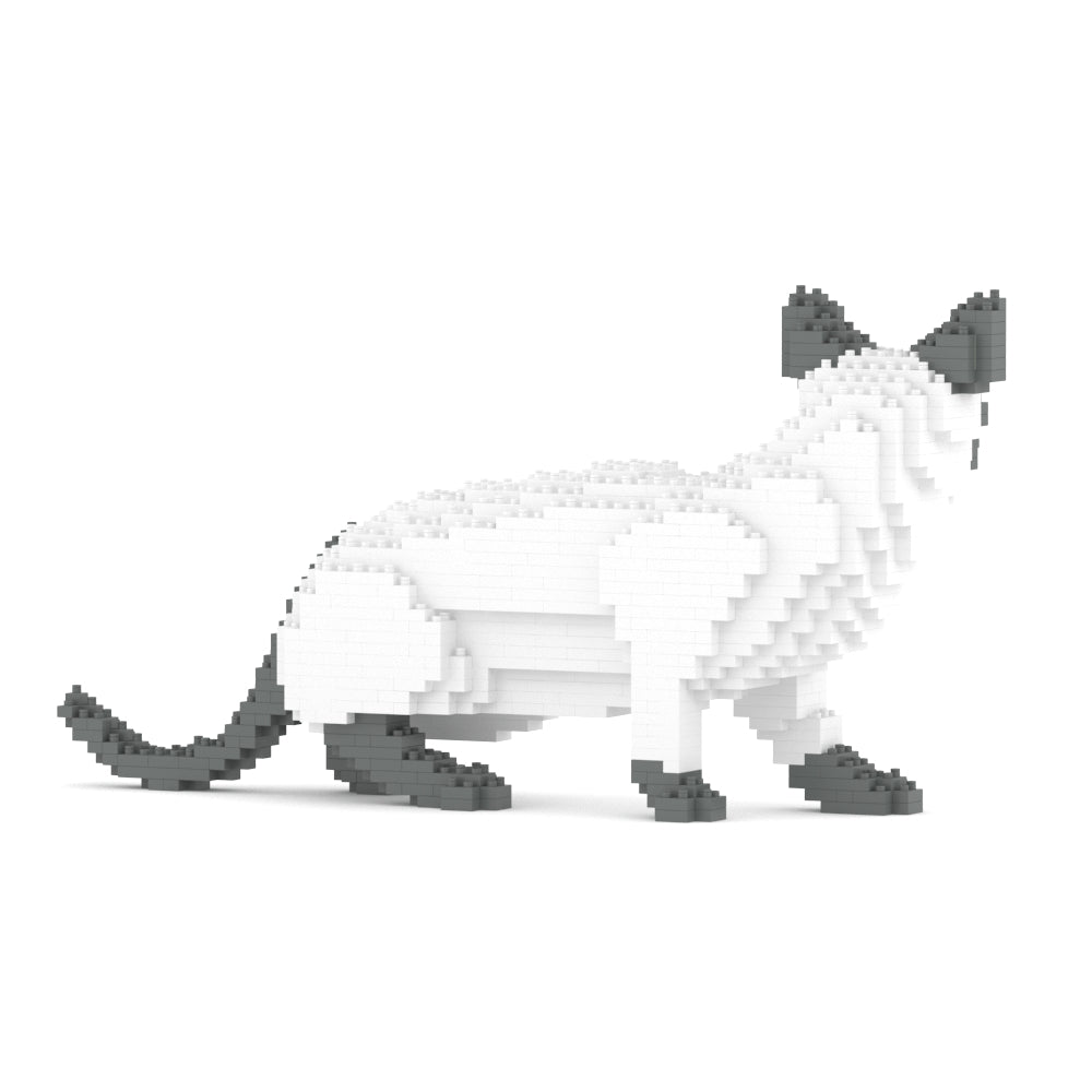 Siamese Cat 02S-M02