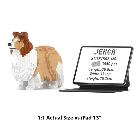 Shetland Sheepdog 02-M01
