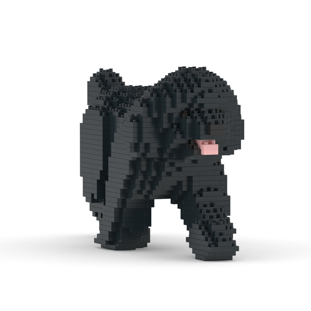 Toy Poodle 02-M02
