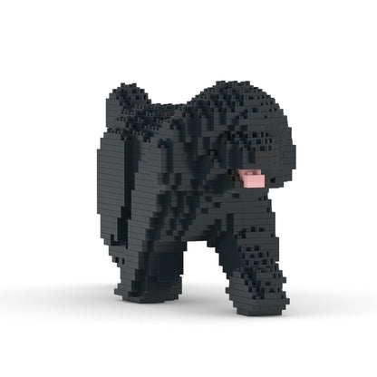 Toy Poodle 02-M02