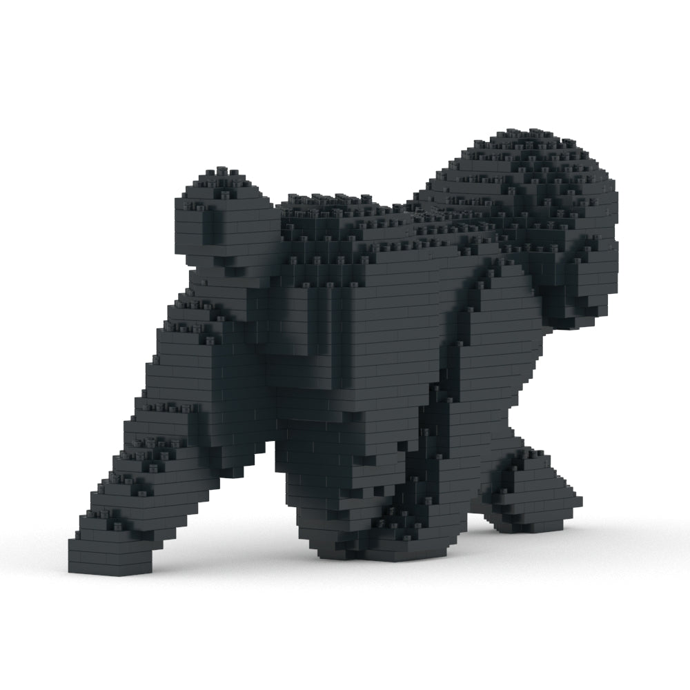Toy Poodle 02-M02