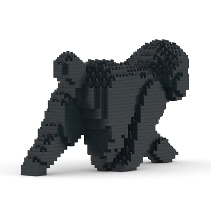 Toy Poodle 02-M02