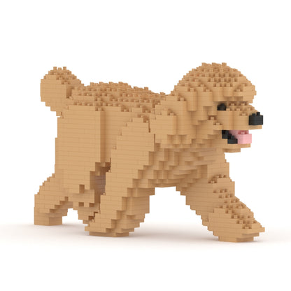Toy Poodle 02-M03