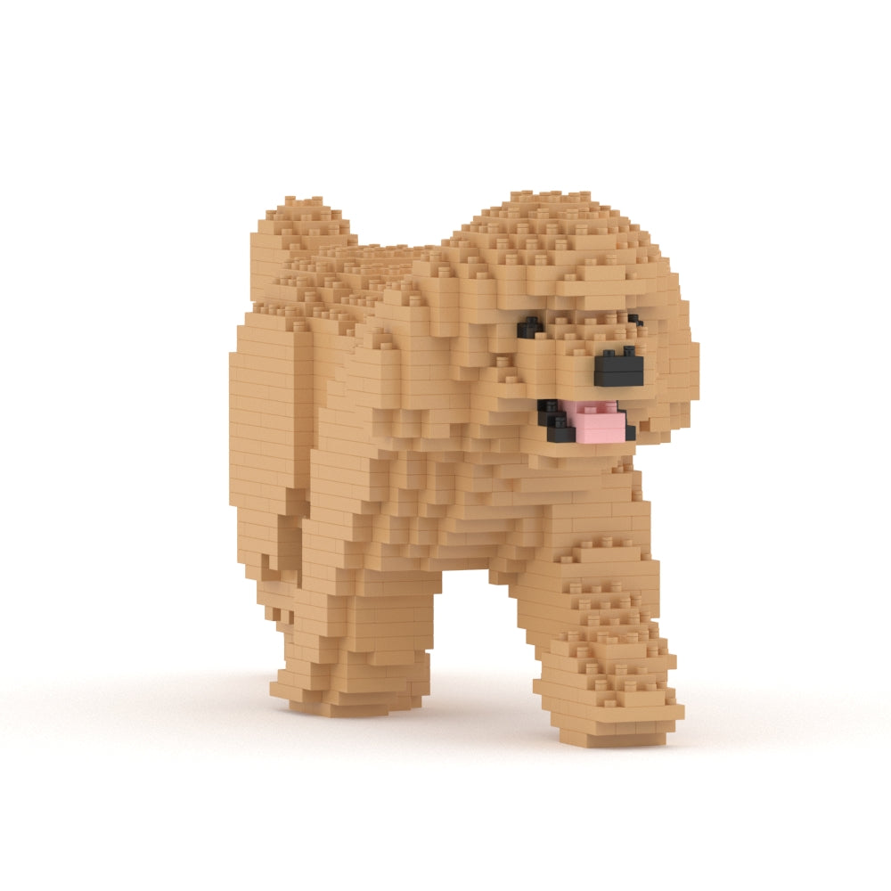 Toy Poodle 02-M03
