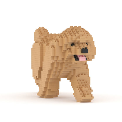 Toy Poodle 02-M03