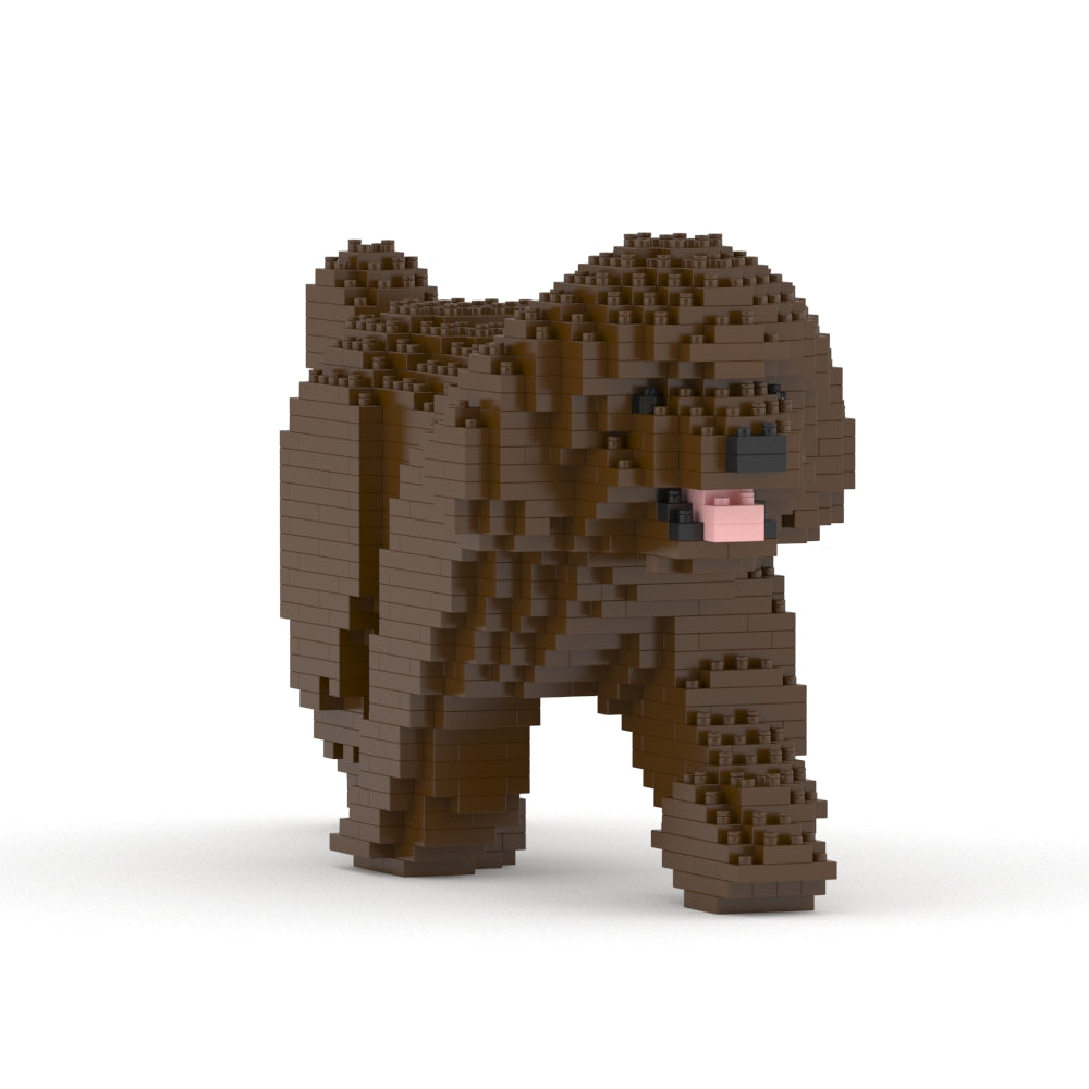 Toy Poodle 02-M05