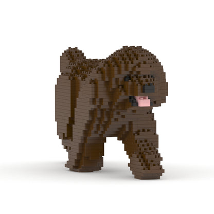 Toy Poodle 02-M05