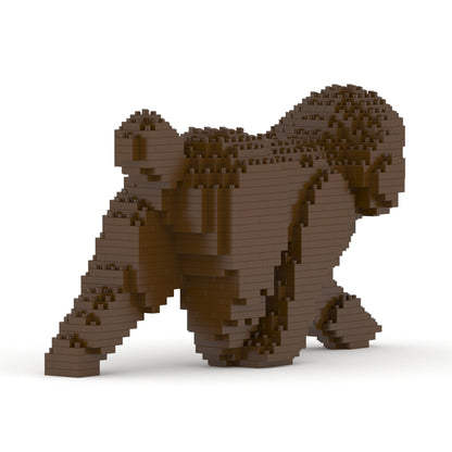 Toy Poodle 02-M05