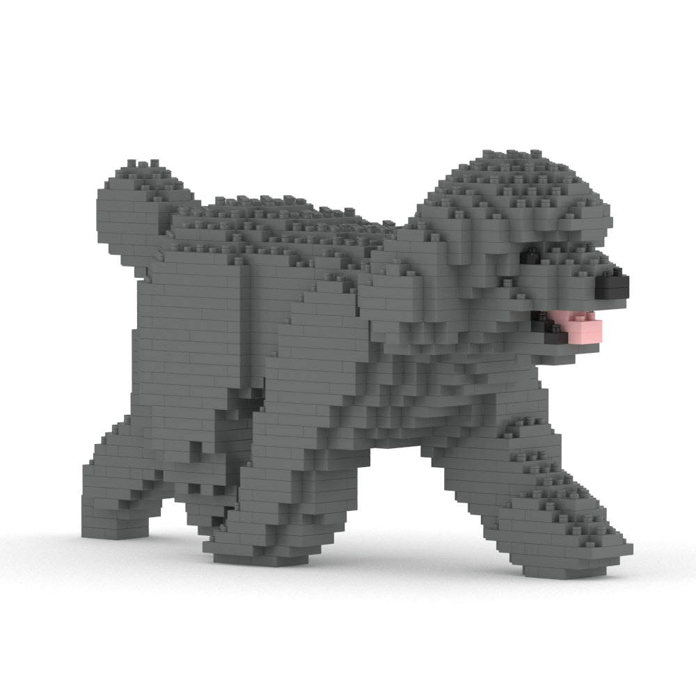 Toy Poodle 02-M06