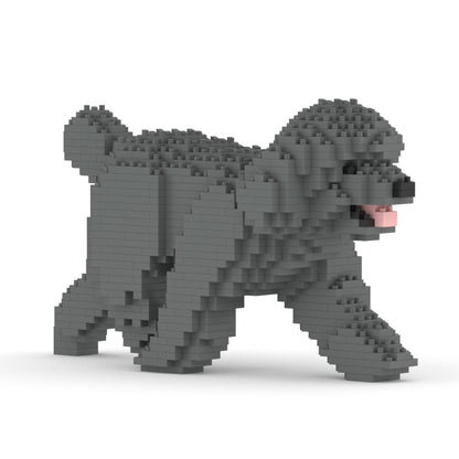 Toy Poodle 02-M06